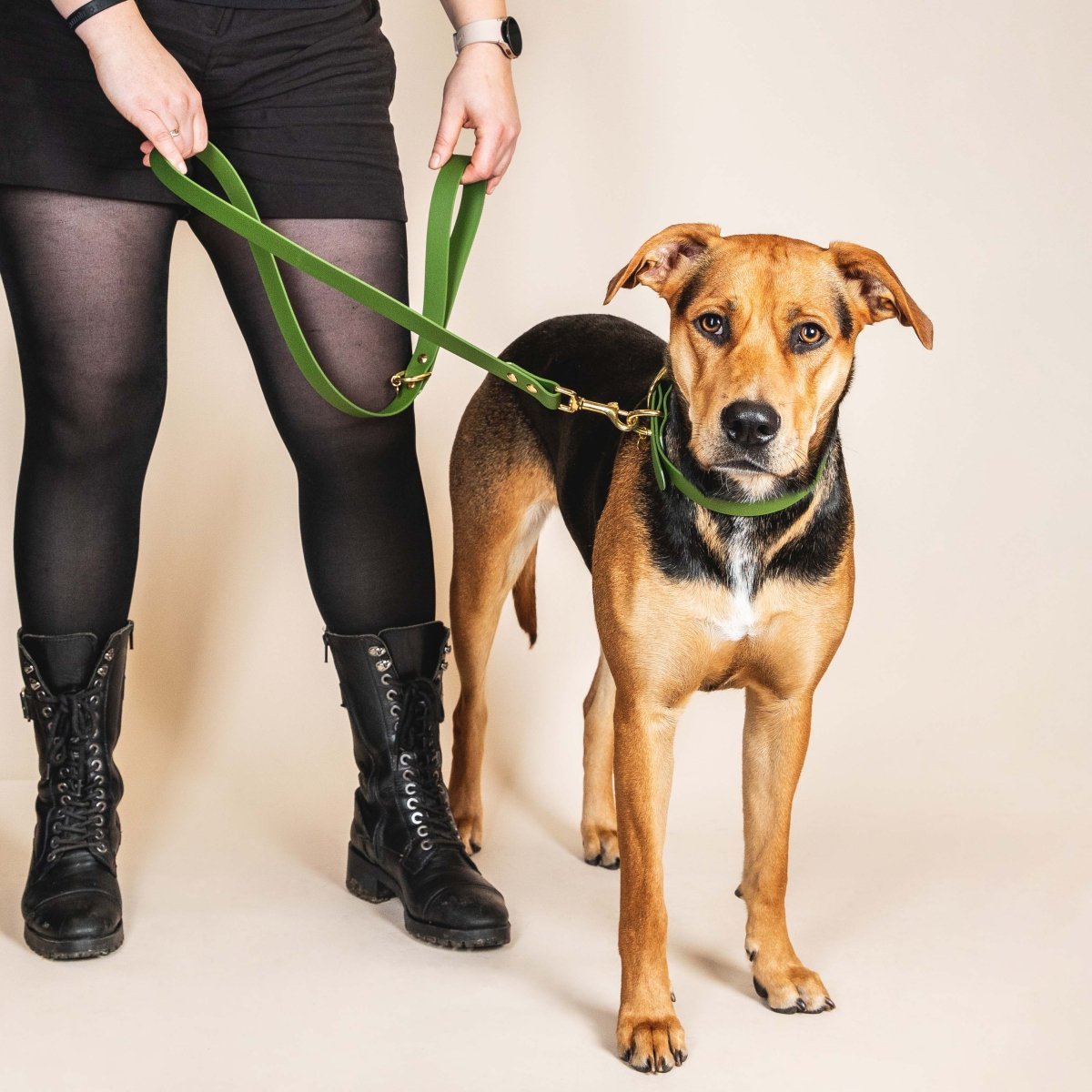 fid-le-paris-l-aventurier-laisse-chien-vert-olive-tpu-laiton image 4