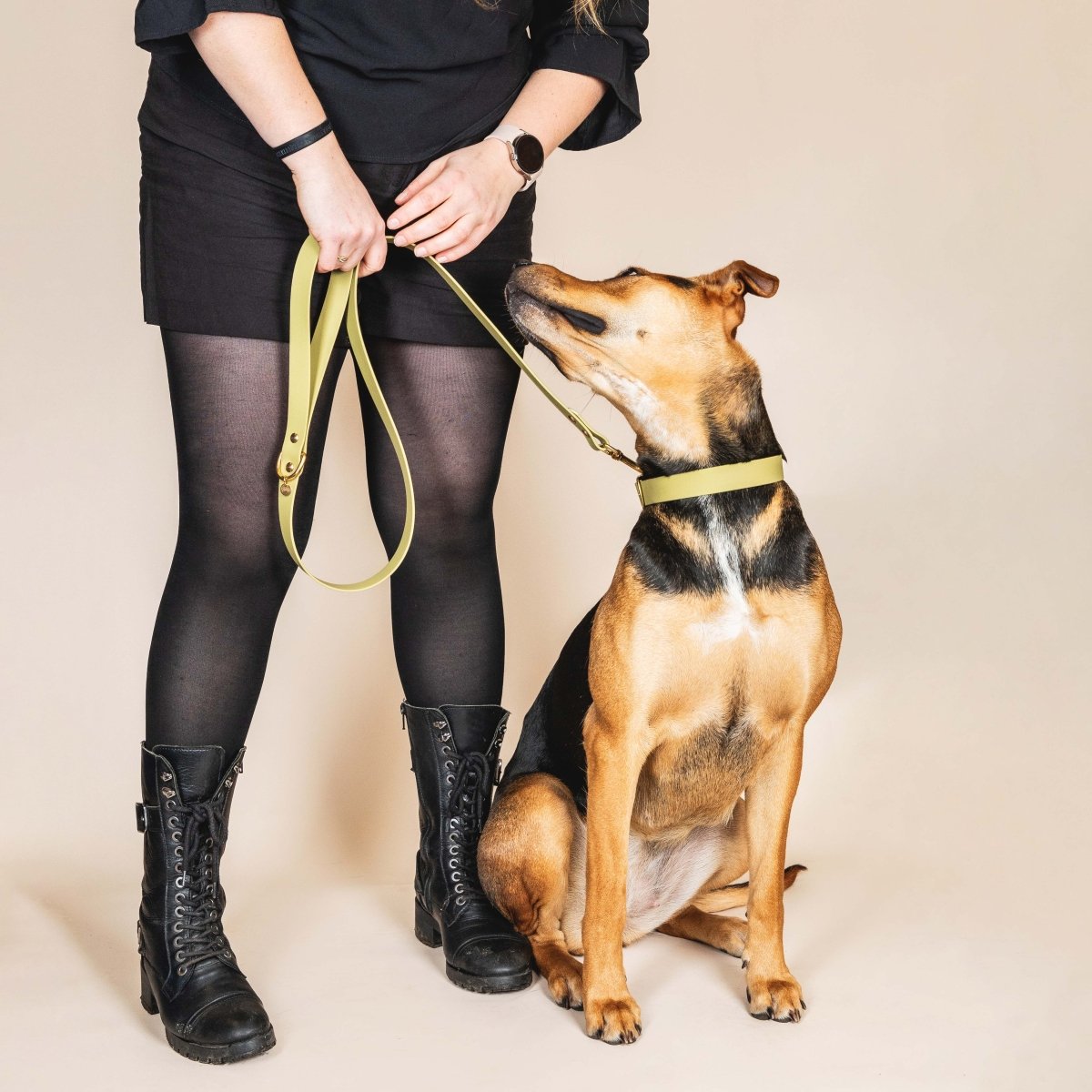 fid-le-paris-l-aventurier-laisse-chien-vert-tilleul-imperm-able image 2