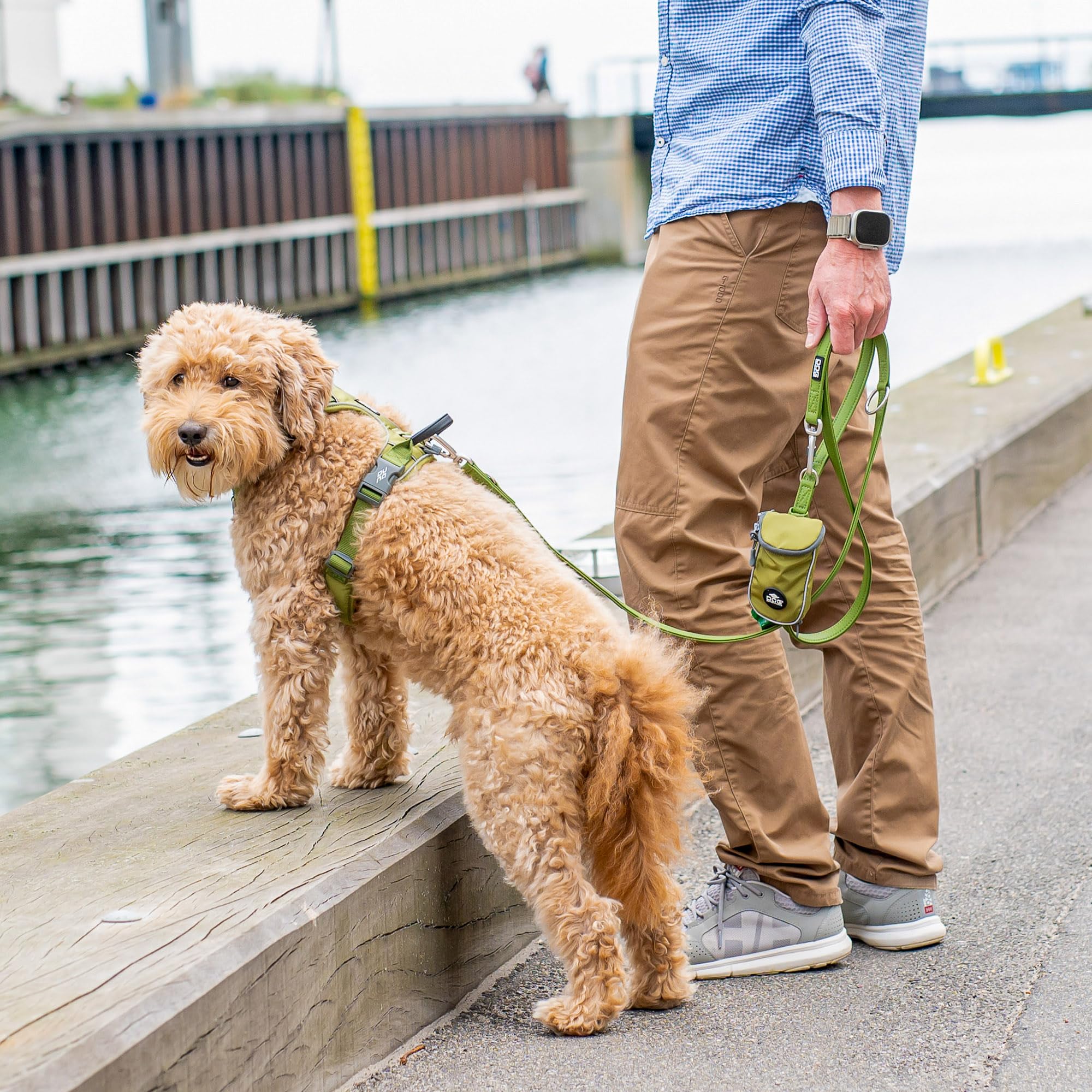 dog-copenhagen-urban-classic-laisse-chien-violet-taille-s image 8