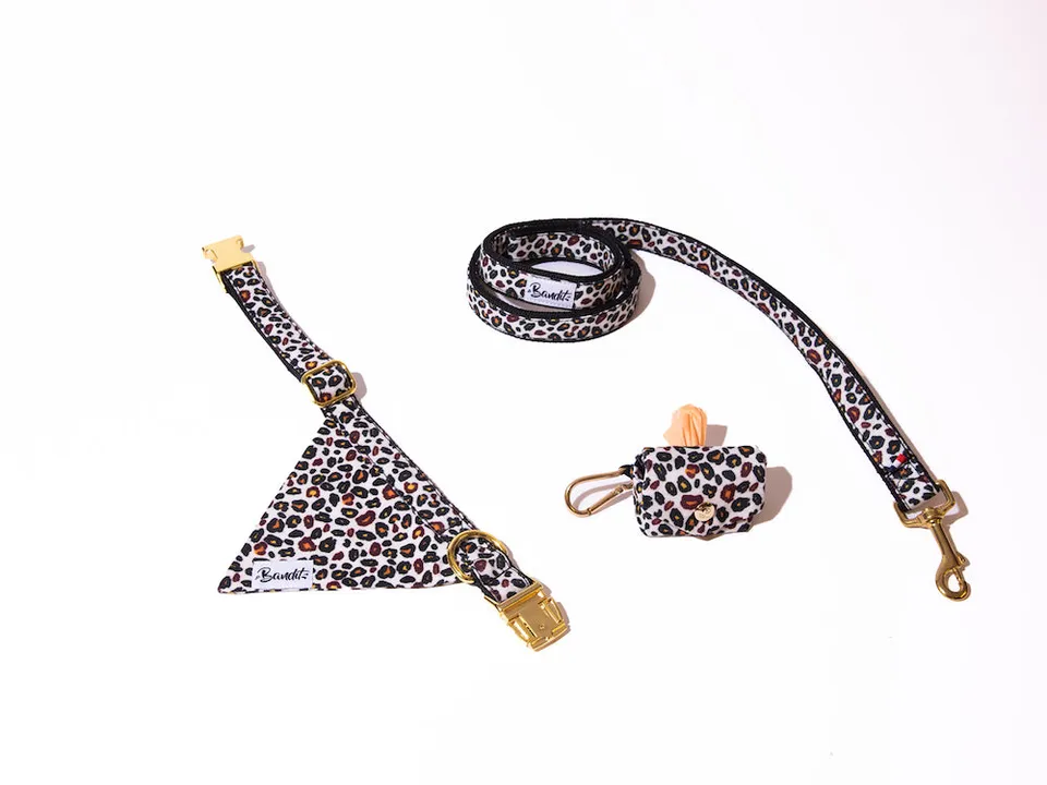 bandit-les-kits-bandana-laisse-pochette-kit-promenade-assorti image 1