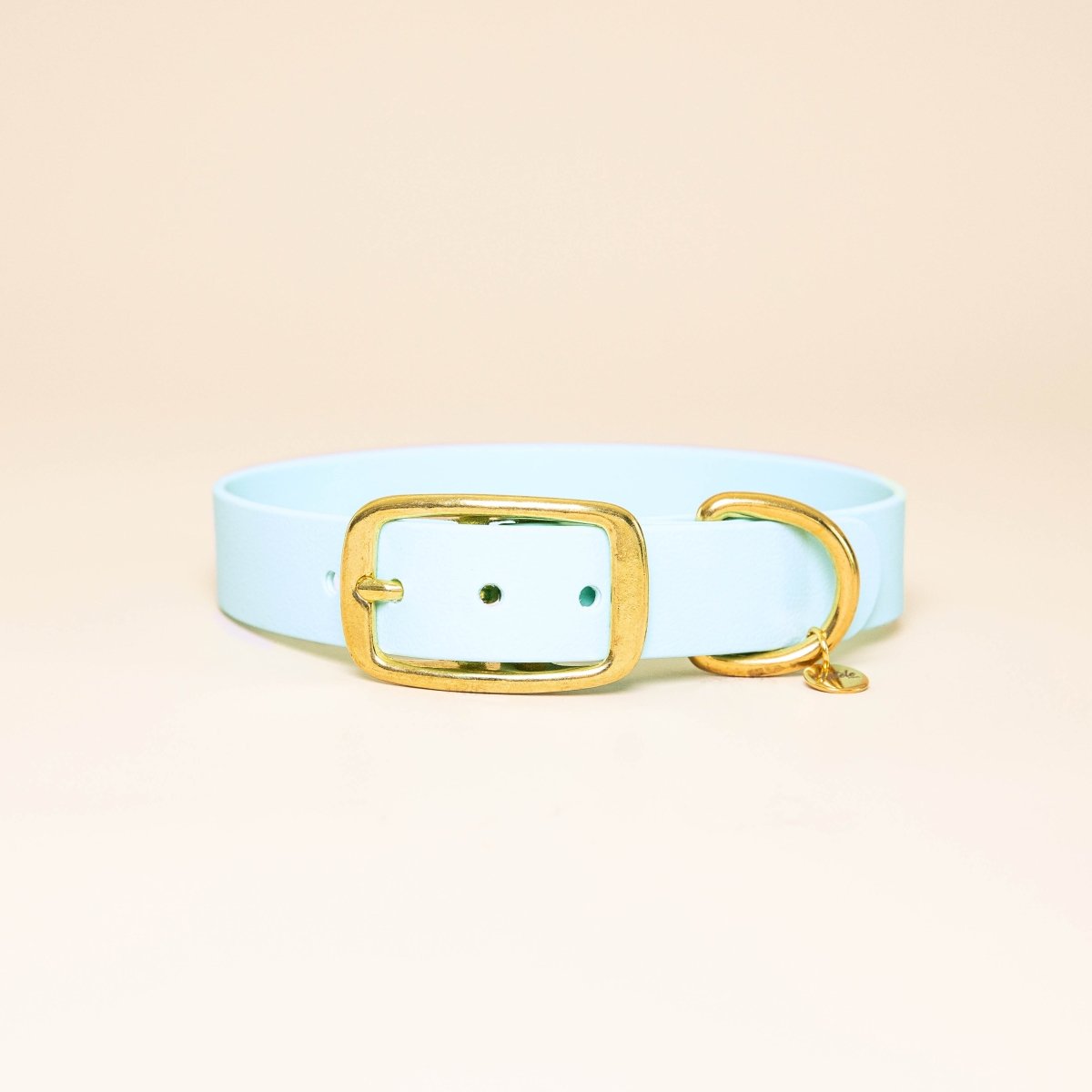 fid-le-paris-l-aventurier-collier-chien-bleu-ciel-imperm-able image 1
