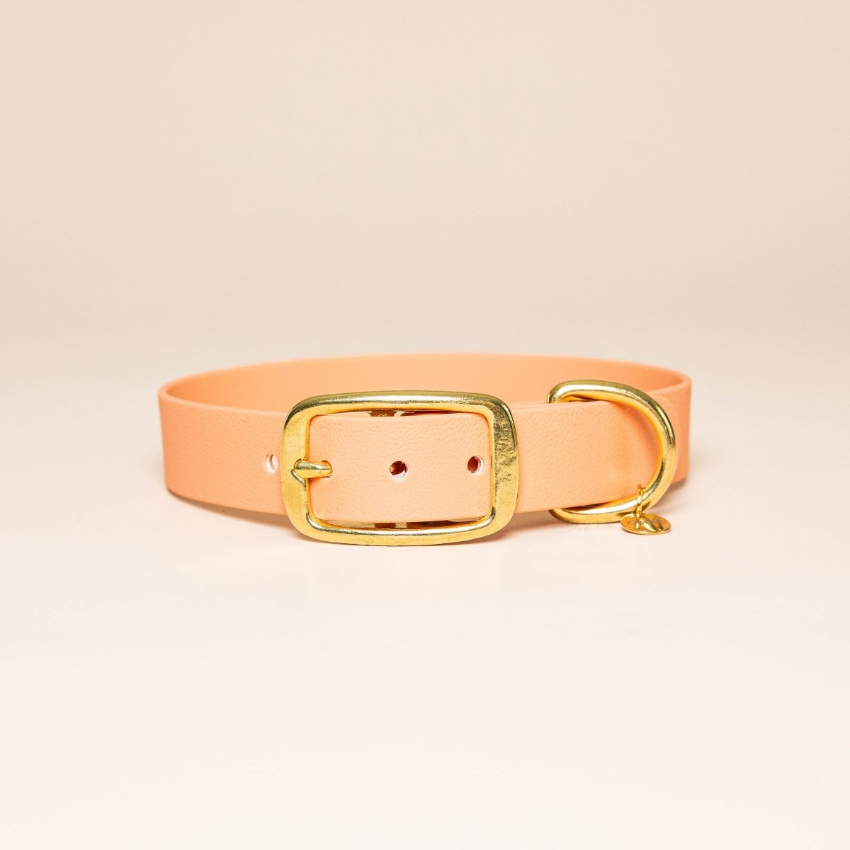 fid-le-paris-l-aventurier-collier-chien-abricot-imperm-able image 1