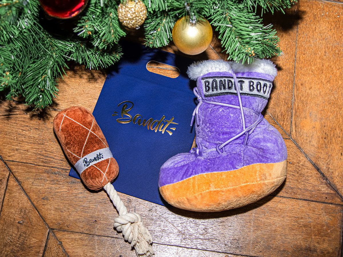 bandit-les-kits-joueur-coffret-jouets-2-jouets-saucisson-boot image 1