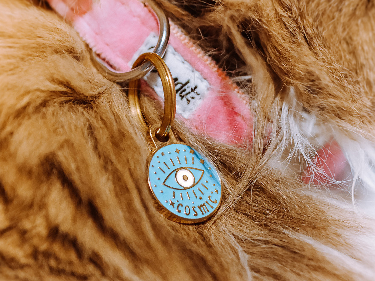bandit-m-dailles-pour-chat-cosmique-m-daille-zinc-personnalis-e image 2