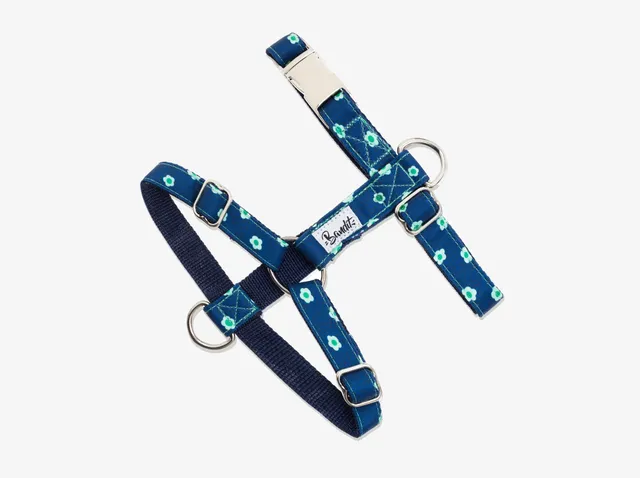 bandit-harnais-denim-bleu-brut-harnais-chien-fleurs image 1