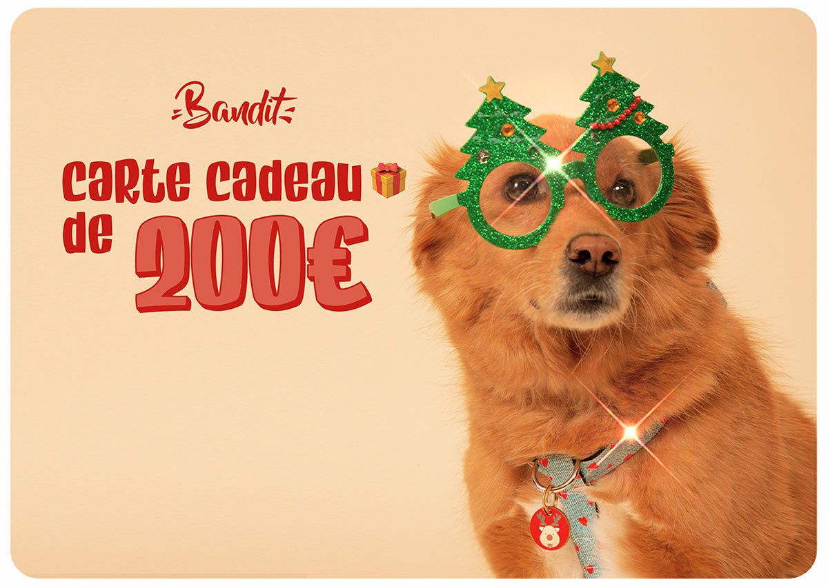 bandit-carte-cadeau-e-mail-50-chien-chat image 4