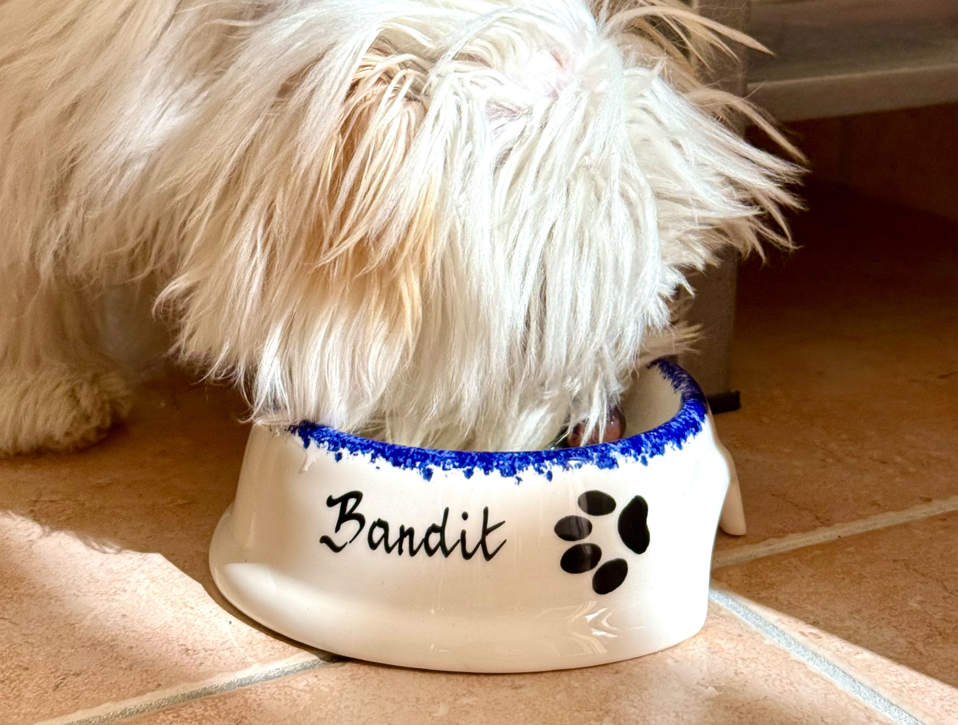 bandit-gamelle-bretonne-gamelle-chien-personnalis-e-petite-12-cm image 4
