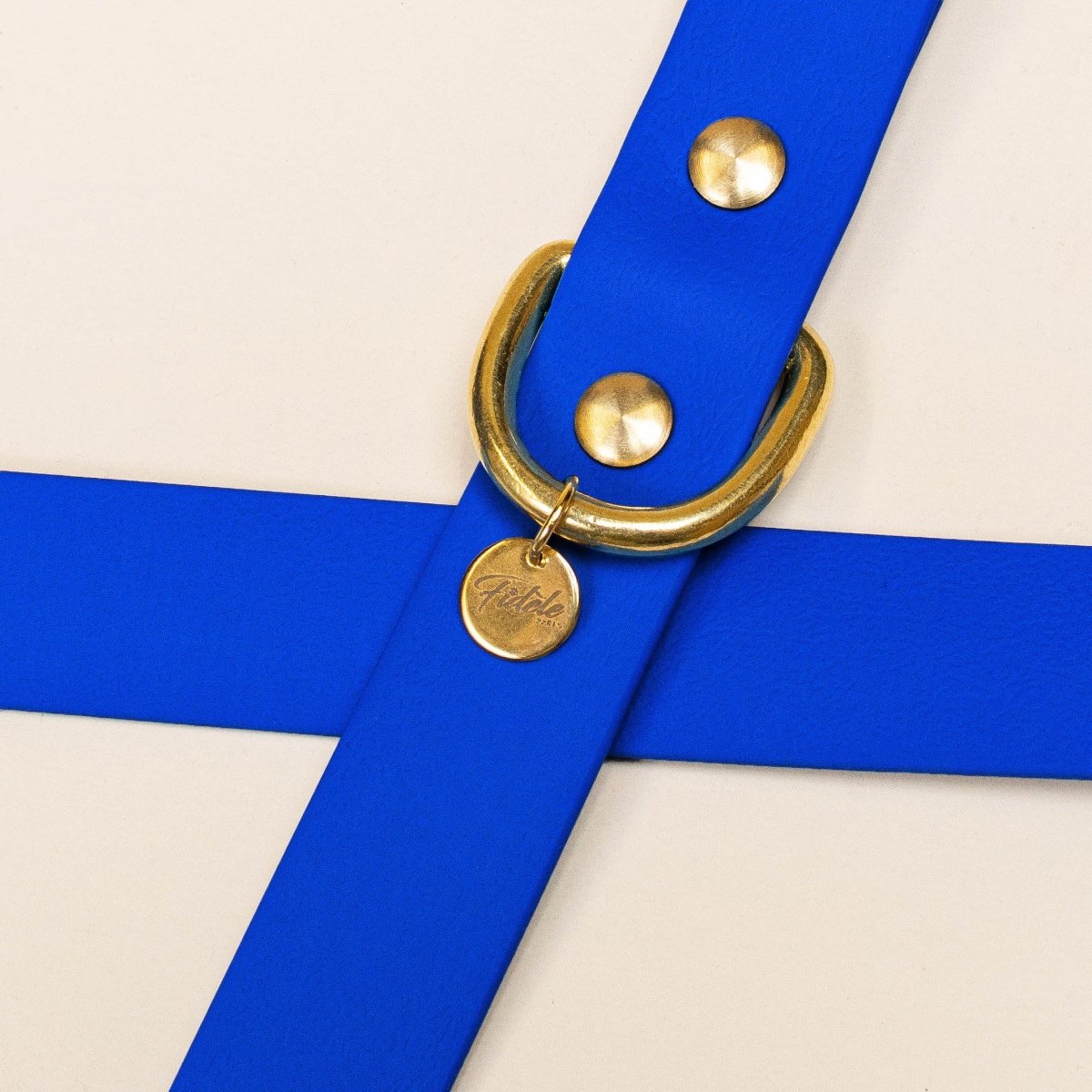 fid-le-paris-laisse-multi-positions-chien-bleu-roi-biothane image 3