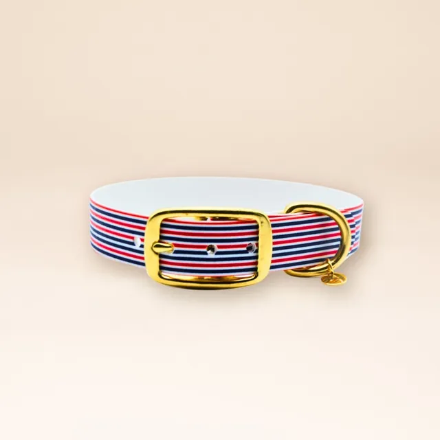 fid-le-l-audacieux-collier-chien-frenchie-m-bleu-blanc-rouge image 1