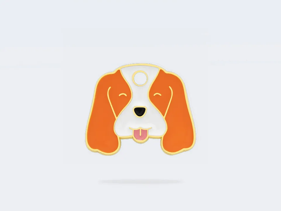 bandit-m-daille-chien-cavalier-king-charles-royale image 1