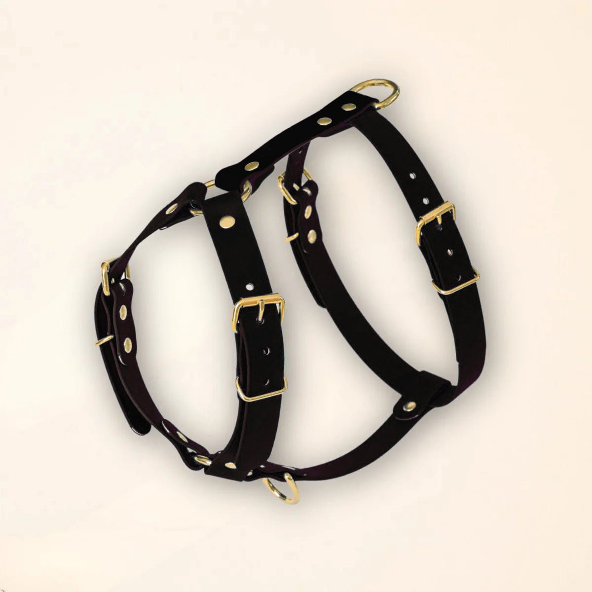 fid-le-paris-harnais-chien-noir-en-y-taille-m-sans-laisse image 1