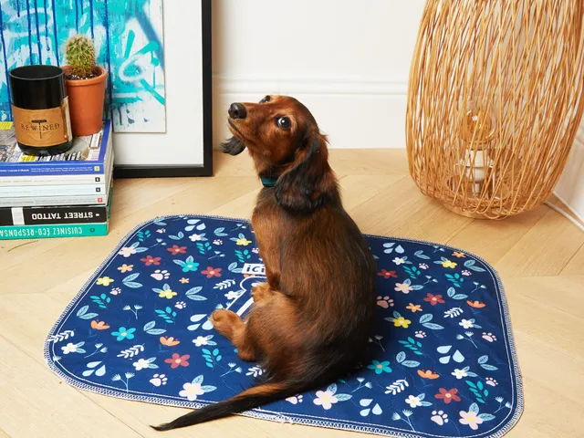 bandit-tapis-de-propret-lot-2-tapis-pipi-lavable image 1
