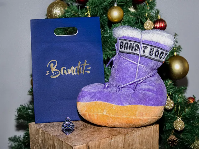 bandit-ski-addict-coffret-chien-jouet-m-daille image 1