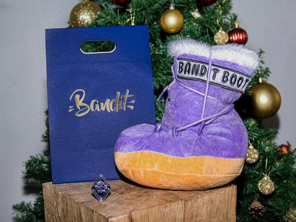 bandit-ski-addict-coffret-chien-jouet-m-daille image 1