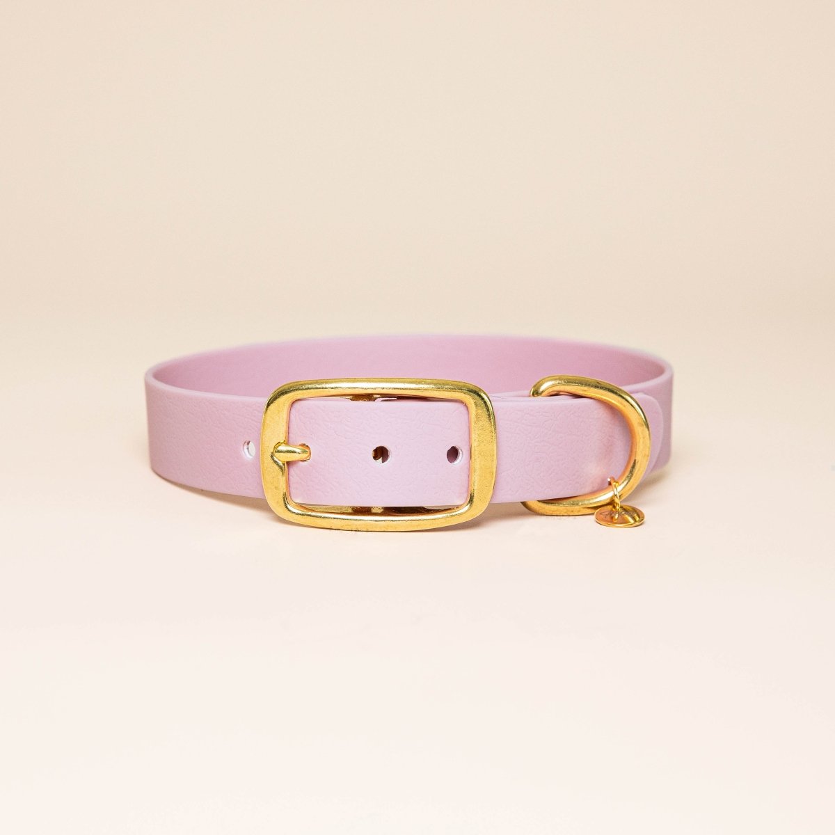 fid-le-paris-l-aventurier-collier-chien-lilas-taille-m image 1