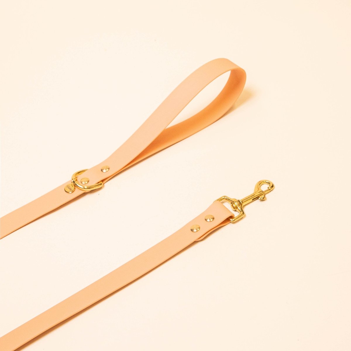 fid-le-paris-laisse-chien-abricot-orange-pastel-25-mm image 1