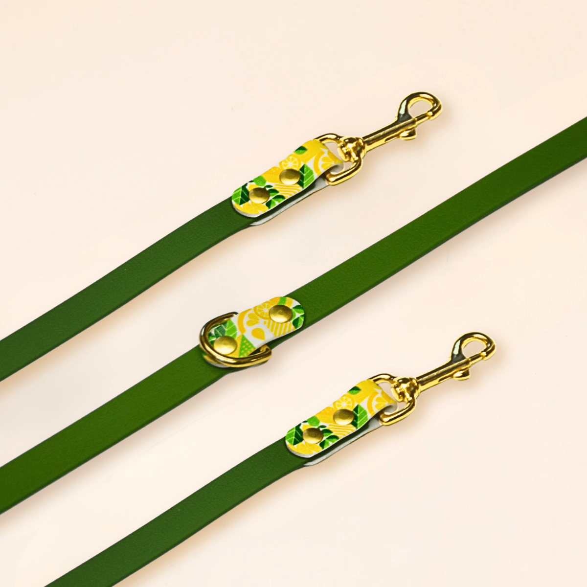 fid-le-paris-lemon-laisse-multi-positions-olive-20-mm-imperm-able image 1