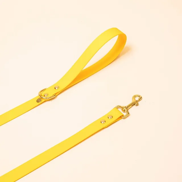 fid-le-l-aventurier-laisse-chien-jaune-20-mm-imperm-able image 1