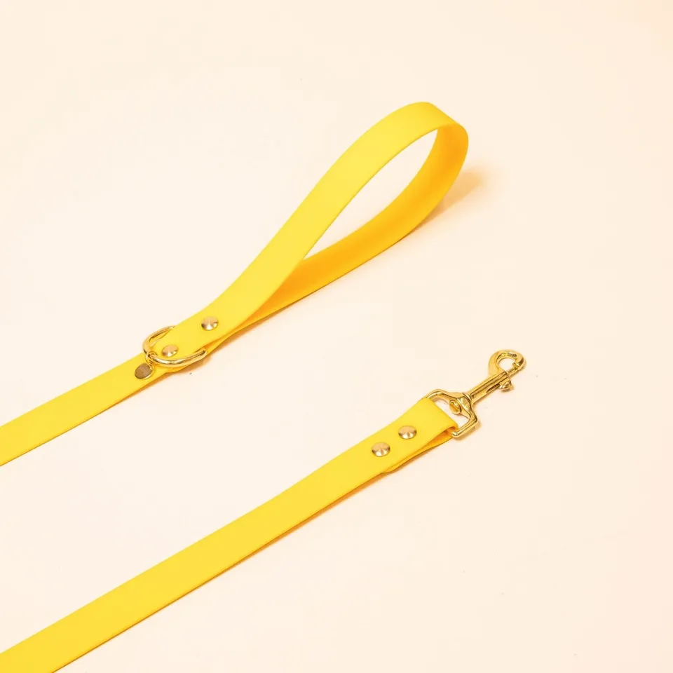 fid-le-l-aventurier-laisse-chien-jaune-20-mm-imperm-able image 1