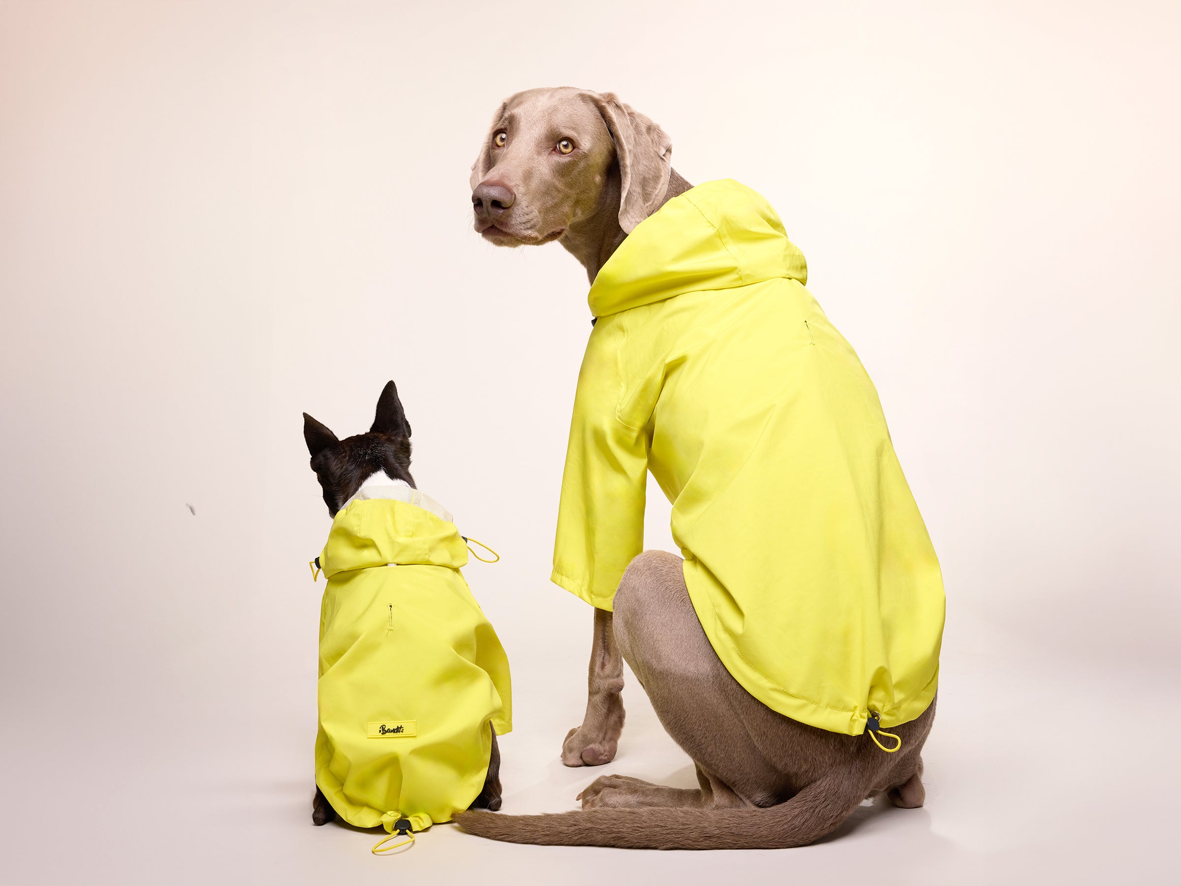 bandit-banana-split-imperm-able-chien-jaune-taille-m image 1