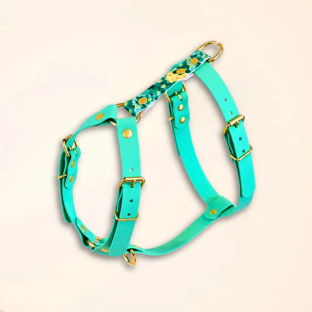 fid-le-paris-the-bloom-dition-harnais-chien-vert-floral image 1