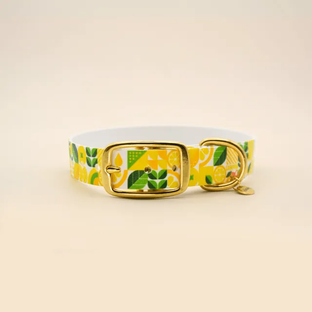 fid-le-paris-lemon-collier-chien-citron-jaune-imperm-able image 1