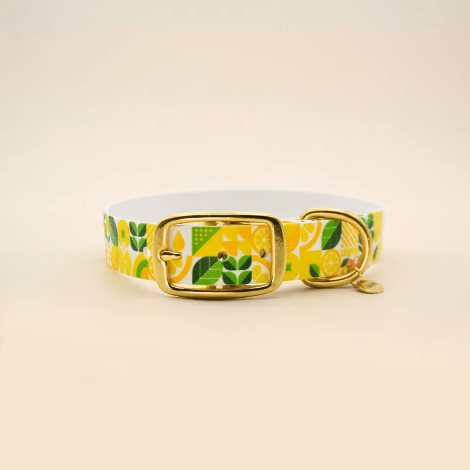 fid-le-paris-lemon-collier-chien-citron-jaune-imperm-able image 1