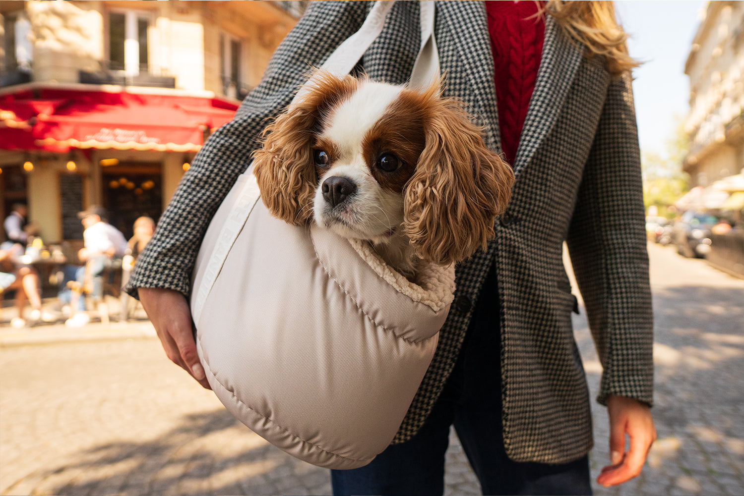 bandit-sac-transport-chien-beige-cr-me-uni-xs image 8
