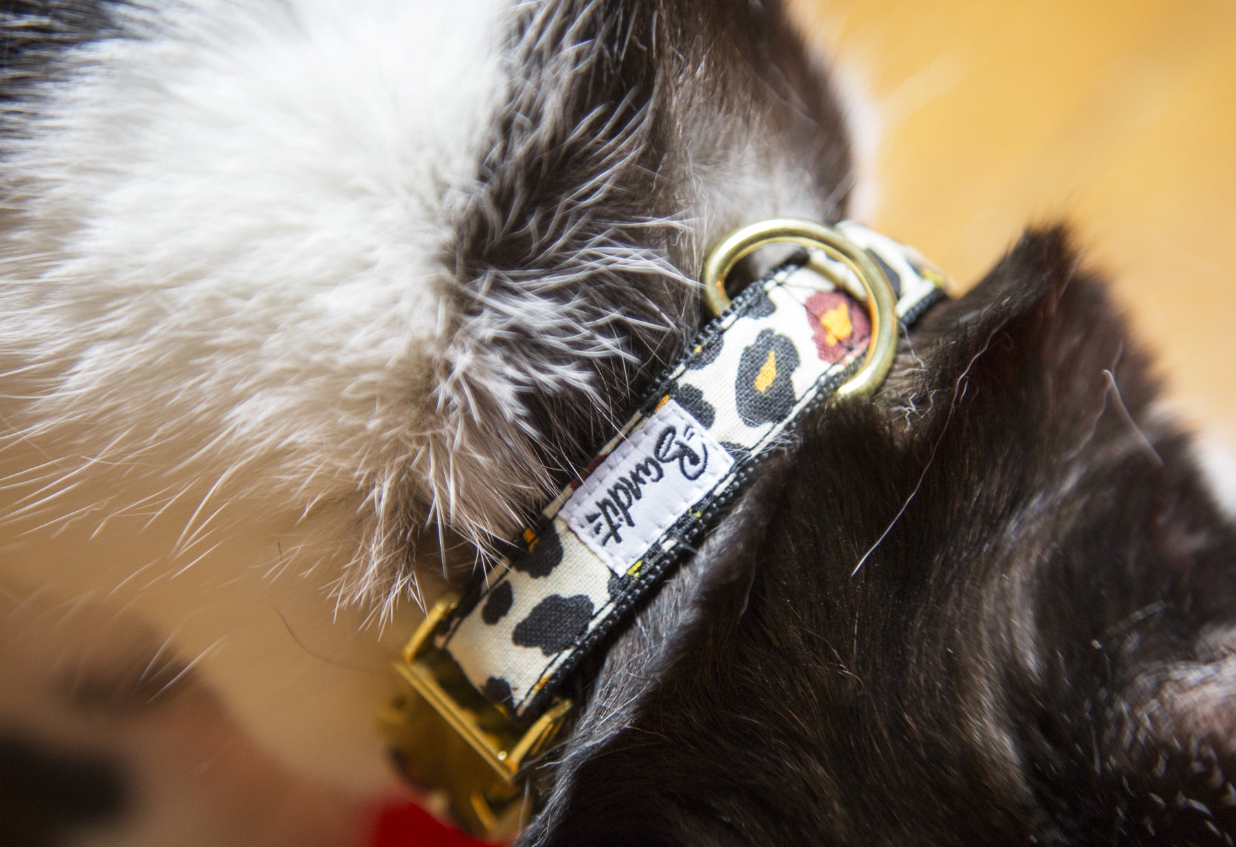 bandit-wild-wild-wouf-collier-chat-l-opard-anti-tranglement image 2
