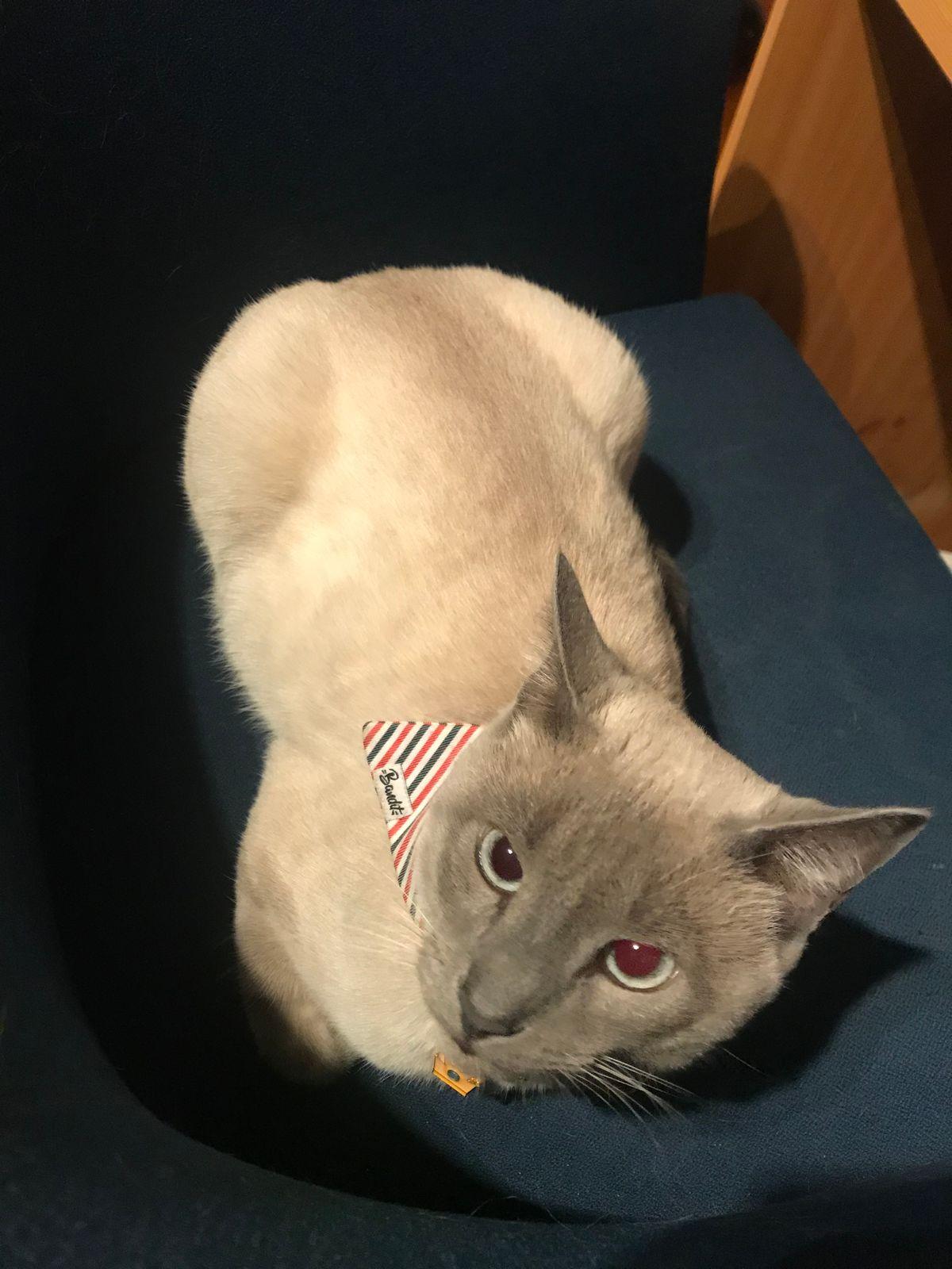 Léger