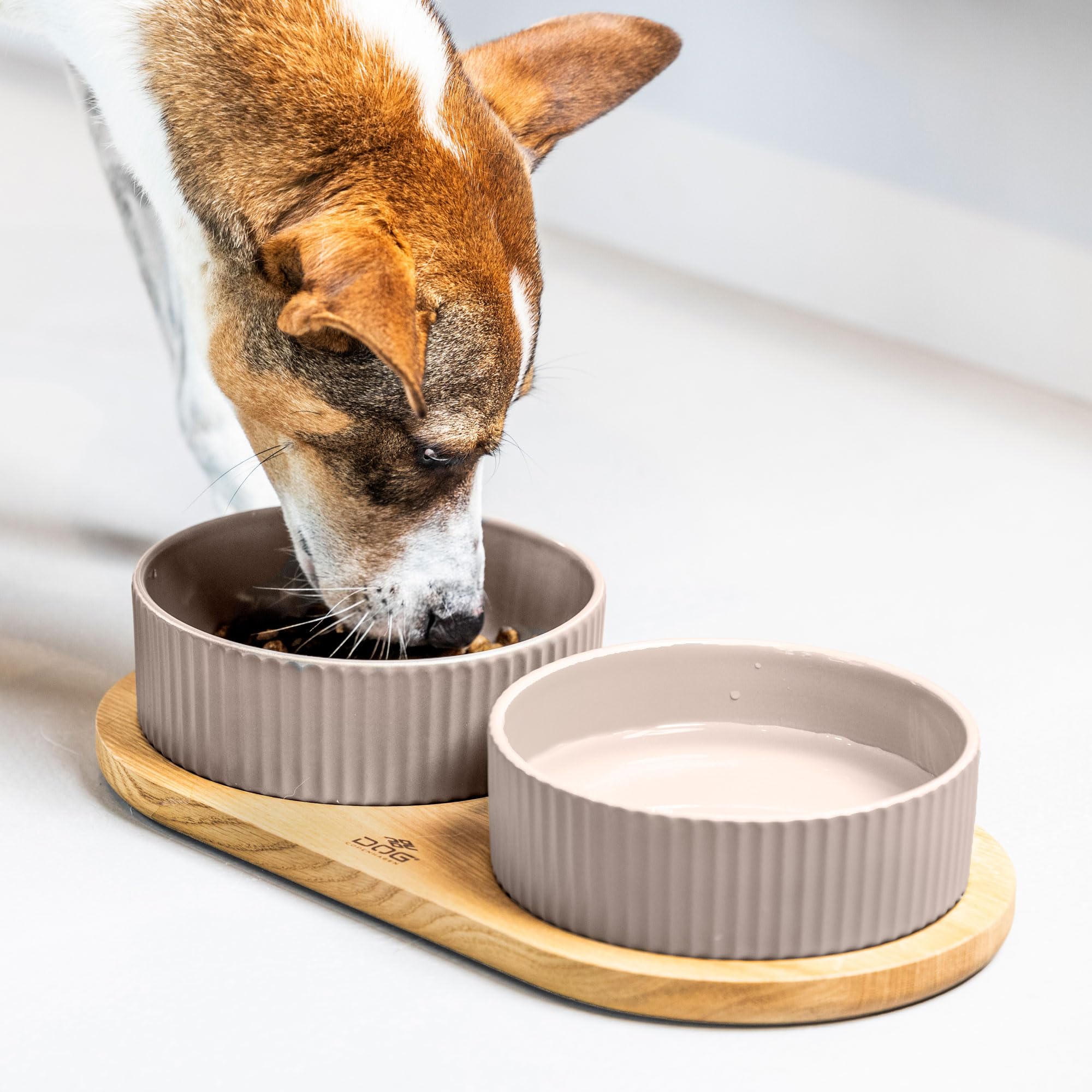 dog-copenhagen-kronborg-food-bar-gamelle-double-s-off-white image 7