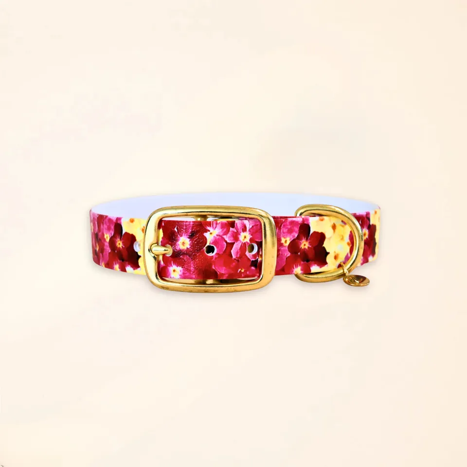 fid-le-paris-the-bloom-collier-chien-bordeaux-floral-tpu image 1